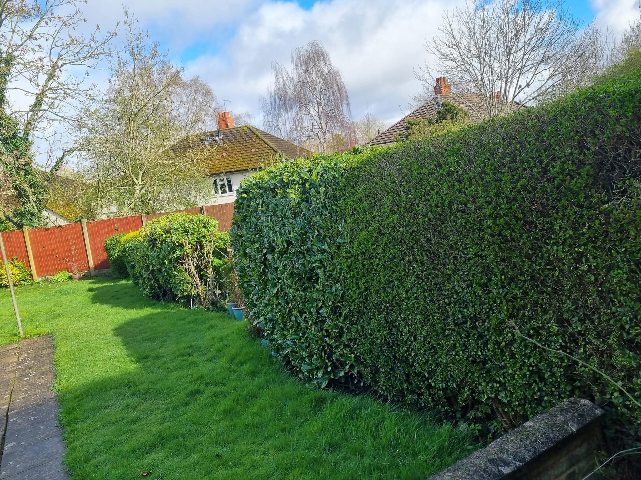 Hedge Trimming